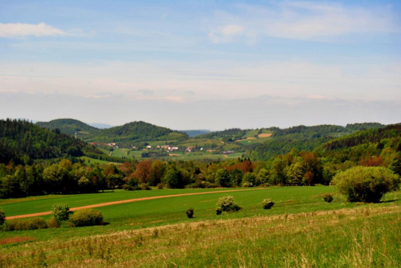 Sudecka *